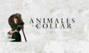 Animales sin collar izle (2018)
