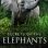 Secrets of the Elephants : 1.Sezon 1.Bölüm izle