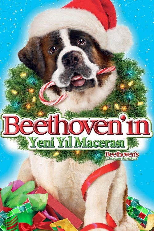 Beethoven’ın Yeni Yıl Macerası izle (2011)