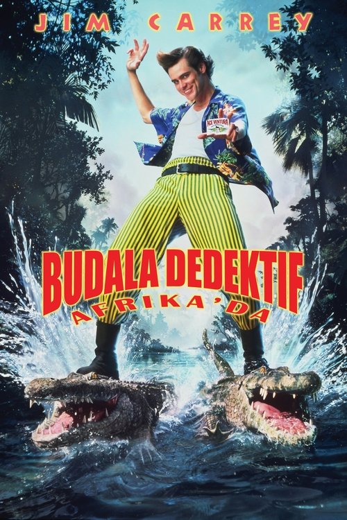 Budala Dedektif Afrika’da izle (1995)