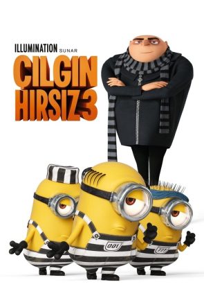 Çılgın Hırsız 3 izle (2017)