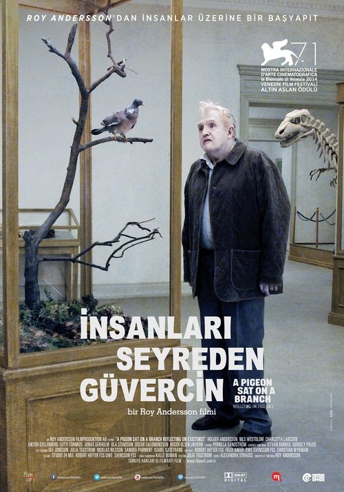 İnsanları Seyreden Güvercin izle (2014)