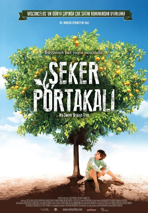 Şeker Portakalı izle (2013)